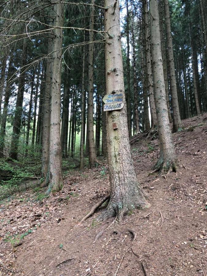 Le Cottage Du Raidillon Malmedy Ngoại thất bức ảnh